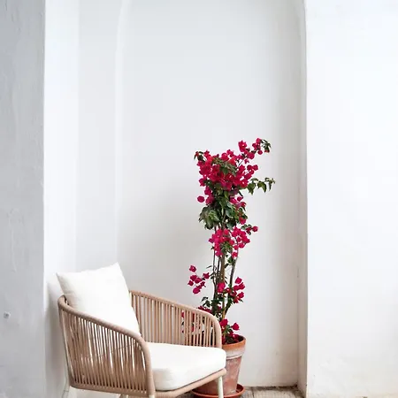 Belvedere Amodeo - Terrace, Seaview, Wifi Apartment Conca dei Marini
